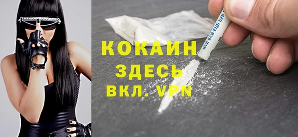 PSILOCYBIN Аркадак