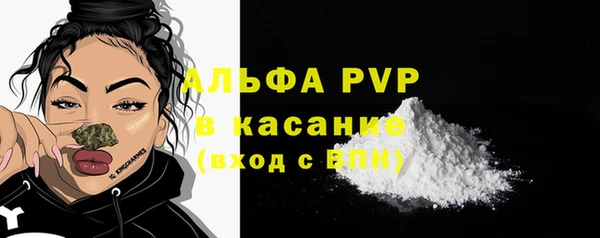 PSILOCYBIN Аркадак