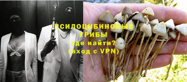 PSILOCYBIN Аркадак