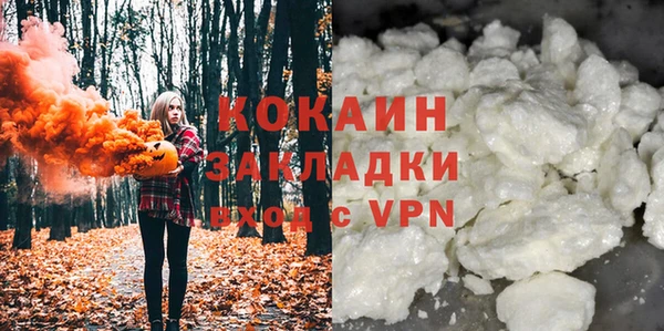 PSILOCYBIN Аркадак
