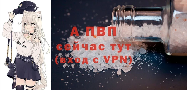 PSILOCYBIN Аркадак