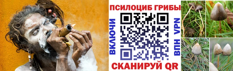 дарнет шоп Дорогобуж Галлюциногенные грибы ЛСД