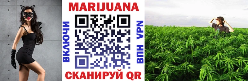 Каннабис VHQ  как найти   Дорогобуж 